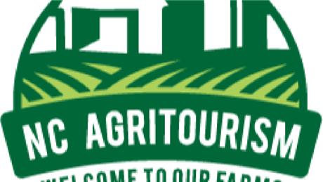 Group Banner Picture